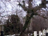 037 Meghatározandó